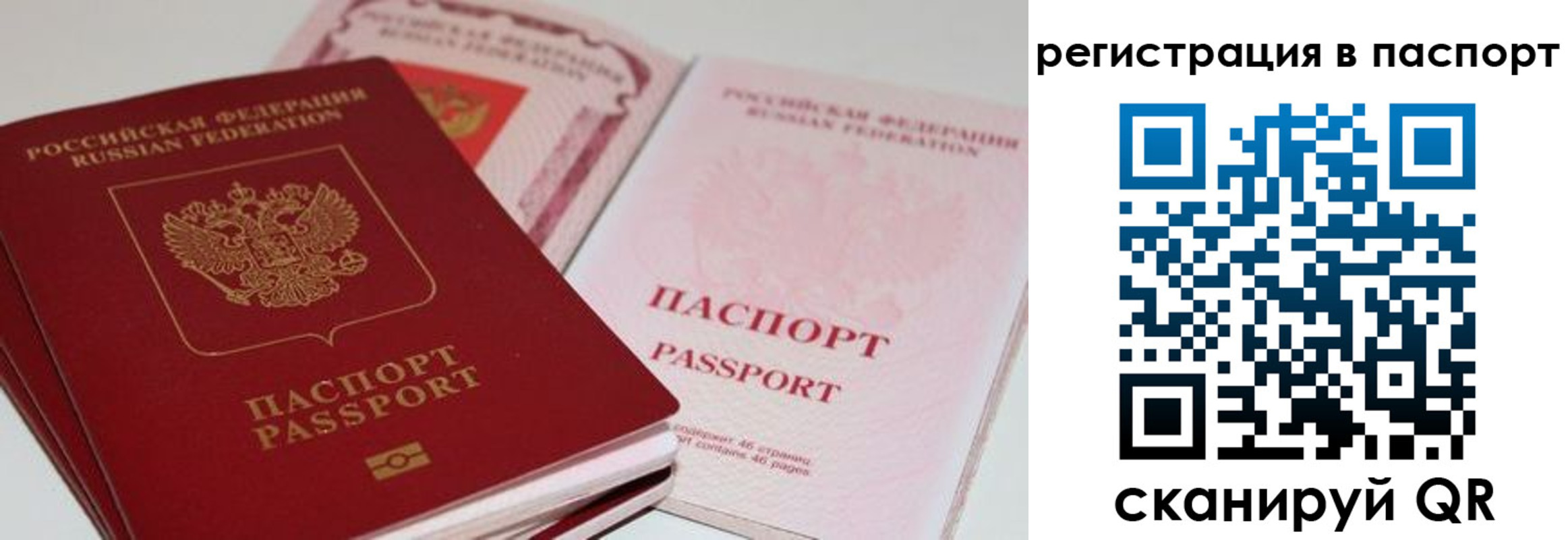 найти адрес прописки в Черноголовке